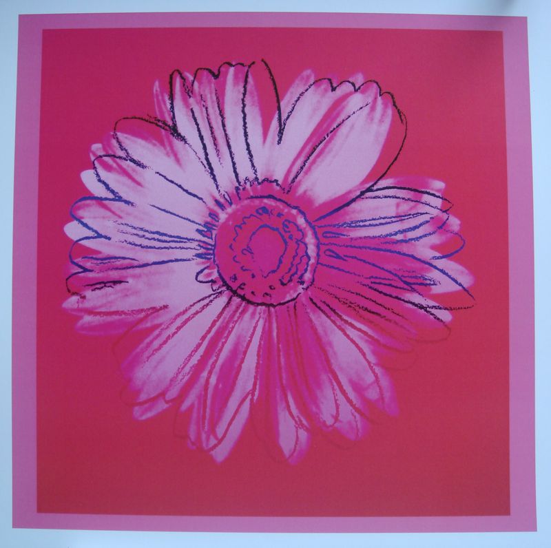 Daisy