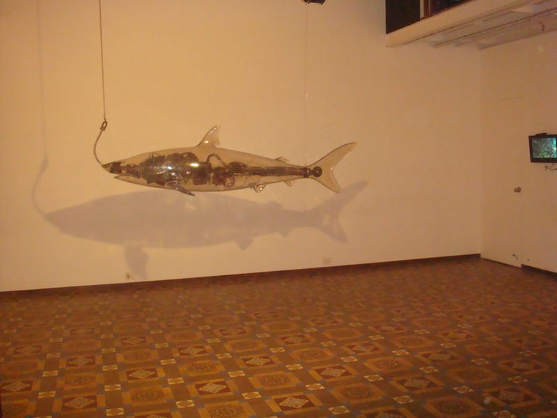 Gallery Beyond