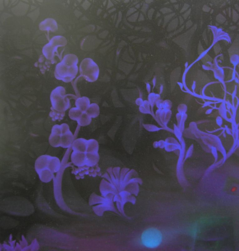 ''Beyond Horizon - 2''